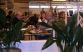 dscn2705.jpg