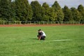 dsc_0024.jpg