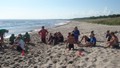 dsc02919.jpg