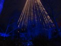 dsc03642.jpg