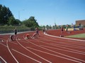 p6100295.jpg